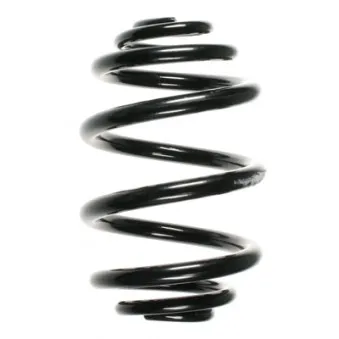 Ressort de suspension SPIDAN 56971