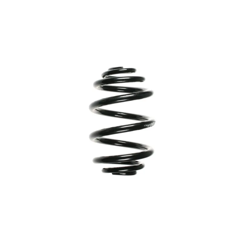 Ressort de suspension SPIDAN 56971