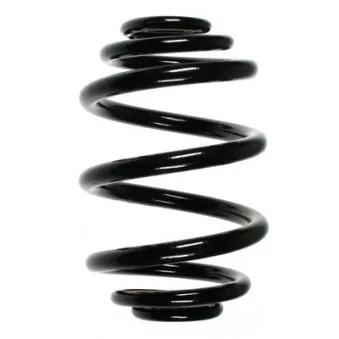 Ressort de suspension SPIDAN 56972