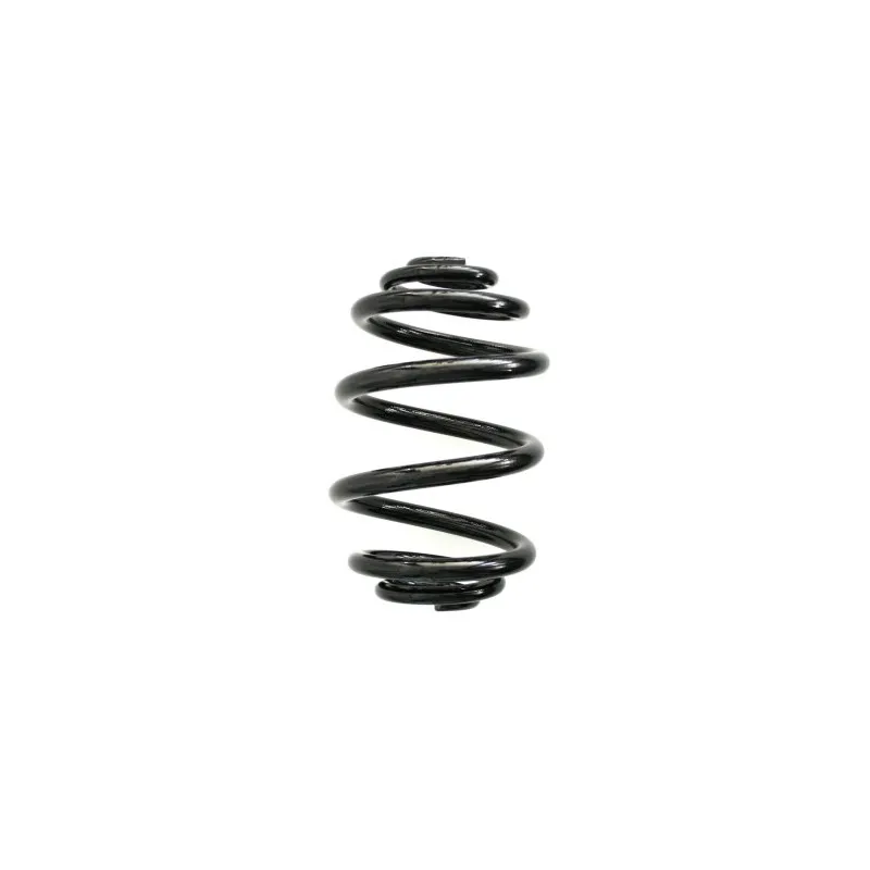 Ressort de suspension SPIDAN 56978