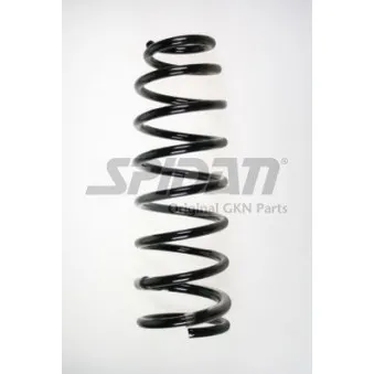 Ressort de suspension SPIDAN 56981