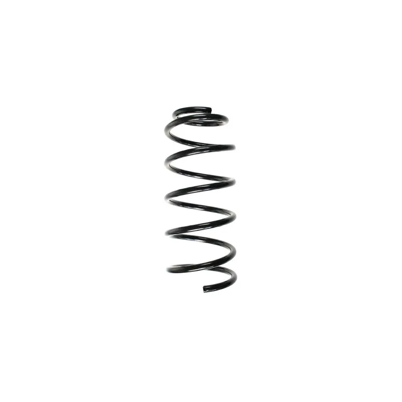 Ressort de suspension SPIDAN 56985
