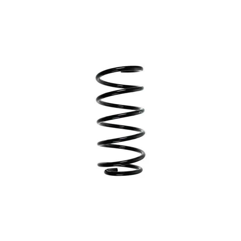 Ressort de suspension SPIDAN 56999