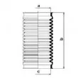 Joint-soufflet, direction SPIDAN 83505 - Visuel 2
