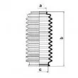 Joint-soufflet, direction SPIDAN 83517 - Visuel 2