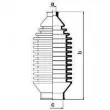 Joint-soufflet, direction SPIDAN 83524 - Visuel 2