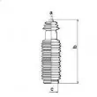 Joint-soufflet, direction SPIDAN 83662 - Visuel 2