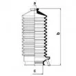 Joint-soufflet, direction SPIDAN 83790 - Visuel 2