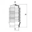 Joint-soufflet, direction SPIDAN 83824 - Visuel 2