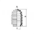 Joint-soufflet, direction SPIDAN 83831 - Visuel 2