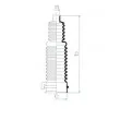Joint-soufflet, direction SPIDAN 83956 - Visuel 2