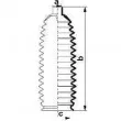 Joint-soufflet, direction SPIDAN 84052 - Visuel 2