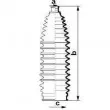 Joint-soufflet, direction SPIDAN 84057 - Visuel 2