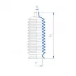 Joint-soufflet, direction SPIDAN 84140 - Visuel 2