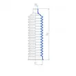 Joint-soufflet, direction SPIDAN 84155 - Visuel 2