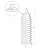 Joint-soufflet, direction SPIDAN 84169 - Visuel 2