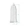 Joint-soufflet, direction SPIDAN 84192 - Visuel 2