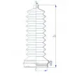 Joint-soufflet, direction SPIDAN 84193 - Visuel 2