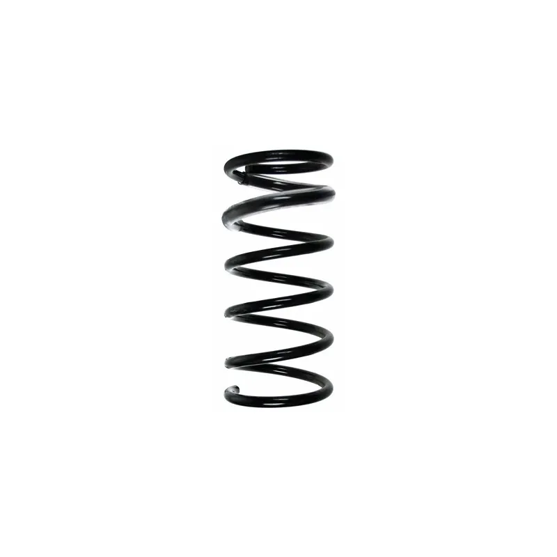 Ressort de suspension SPIDAN 85001