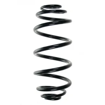 Ressort de suspension SPIDAN 85038
