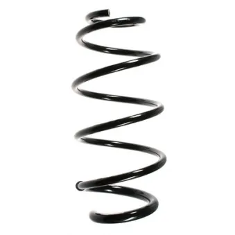 Ressort de suspension SPIDAN 85039