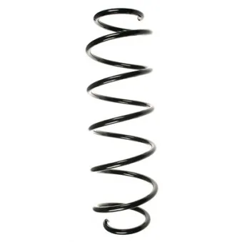 Ressort de suspension SPIDAN 85042
