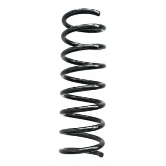 Ressort de suspension SPIDAN 85055