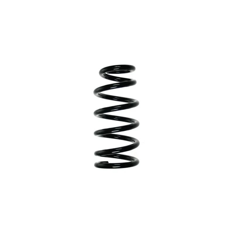 Ressort de suspension SPIDAN 85072