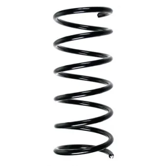 Ressort de suspension SPIDAN 85082