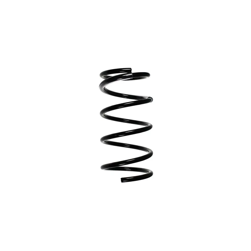 Ressort de suspension SPIDAN 85094