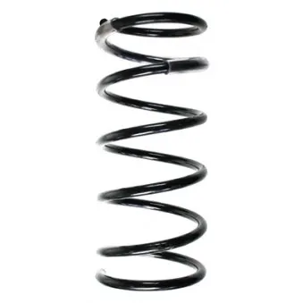 Ressort de suspension SPIDAN 85113