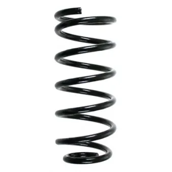 Ressort de suspension SPIDAN 85115