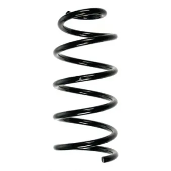 Ressort de suspension SPIDAN 85121
