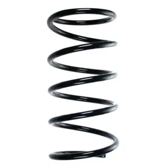 Ressort de suspension SPIDAN 85152