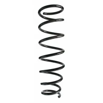 Ressort de suspension SPIDAN 85164