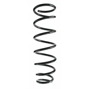 Ressort de suspension SPIDAN 85165