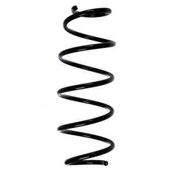 Ressort de suspension SPIDAN 85178