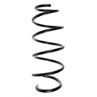 Ressort de suspension SPIDAN 85180