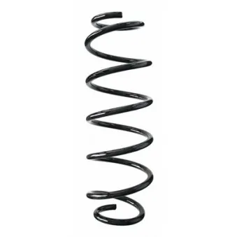 Ressort de suspension SPIDAN 85181