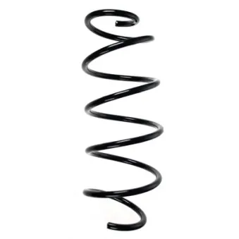 Ressort de suspension SPIDAN 85187