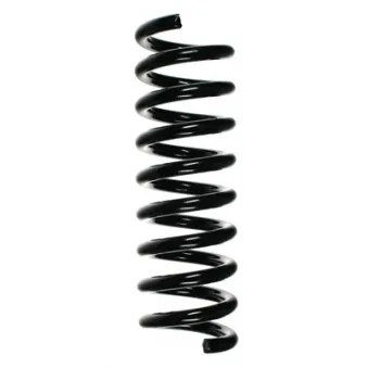 Ressort de suspension SPIDAN 85206