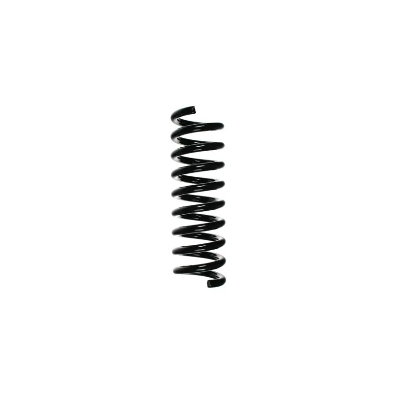 Ressort de suspension SPIDAN 85206