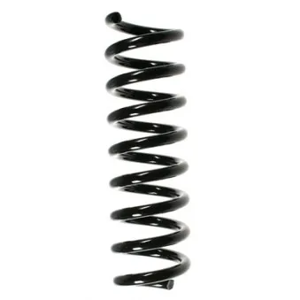 Ressort de suspension SPIDAN 85207