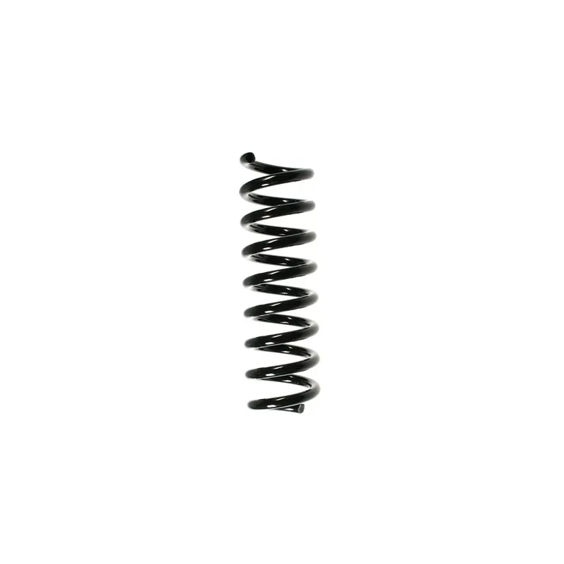 Ressort de suspension SPIDAN 85207