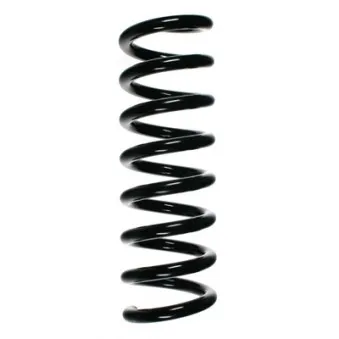 Ressort de suspension SPIDAN 85211