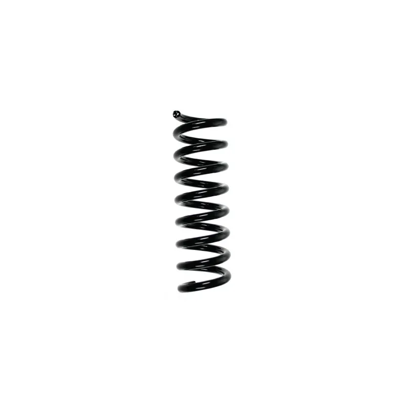Ressort de suspension SPIDAN 85212