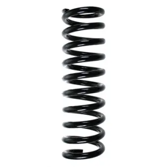 Ressort de suspension SPIDAN 85233
