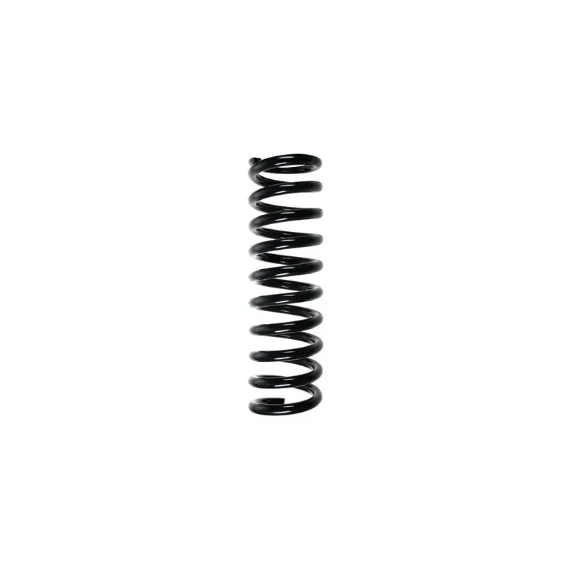 Ressort de suspension SPIDAN 85233