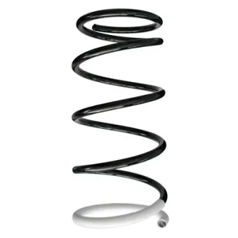 Ressort de suspension SPIDAN 85245