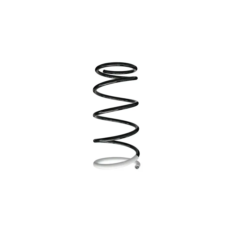 Ressort de suspension SPIDAN 85245